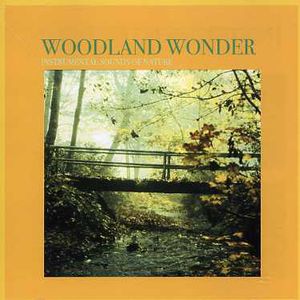Woodland Wonder