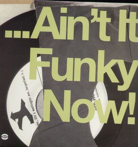 Ain't It Funky Now [Import]