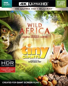 Wild Africa /  Tiny Giants