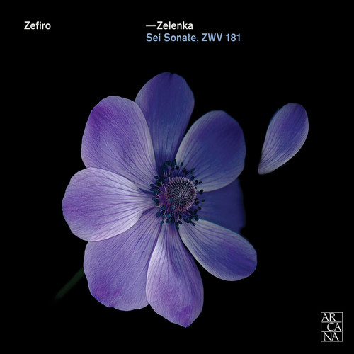 Jan Dismas Zelenka: Sei Sonate Zwv 181