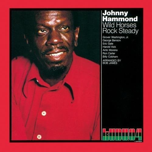 Johnny Hammond - Wild Horse Rock Steady [Remastered] (Jpn)