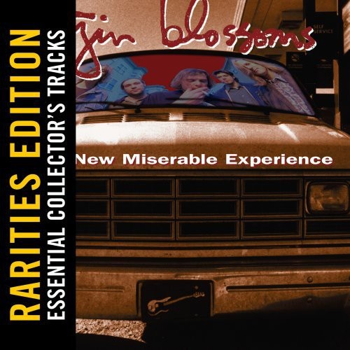 Gin Blossoms - New Miserable Experience: Rarities Edition