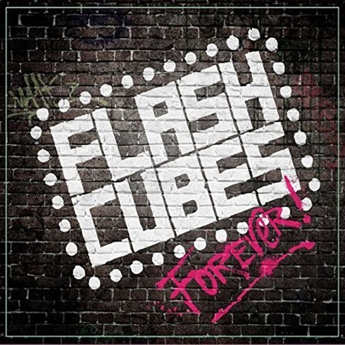 The Flashcubes - Flashcubes Forever