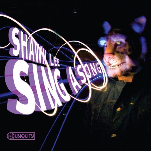 Shawn Lee - Sing a Song