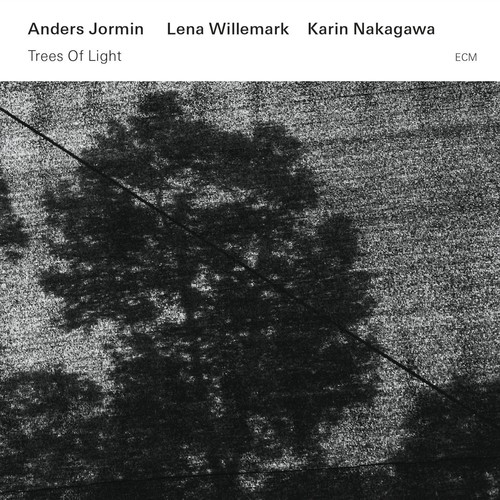 Anders Jormin - Trees of Light