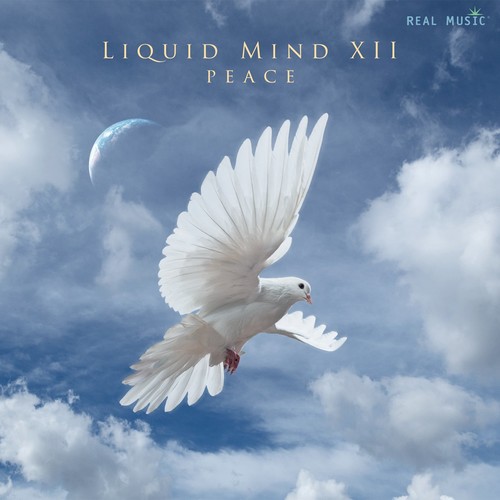 Liquid Mind - Liquid Mind XII: Peace