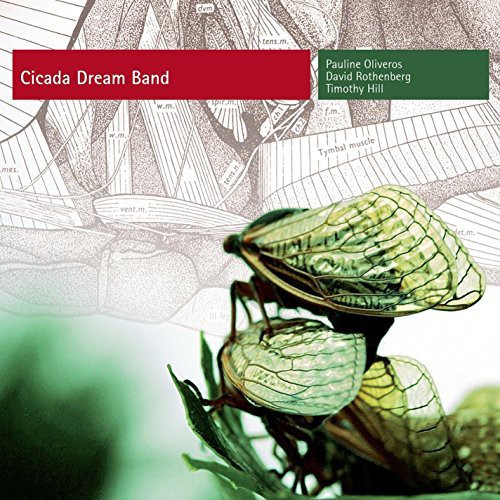 Pauline Oliveros - Cicada Dream Band