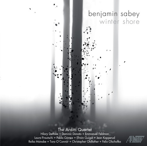 Benjamin Sabey: Winter Shore