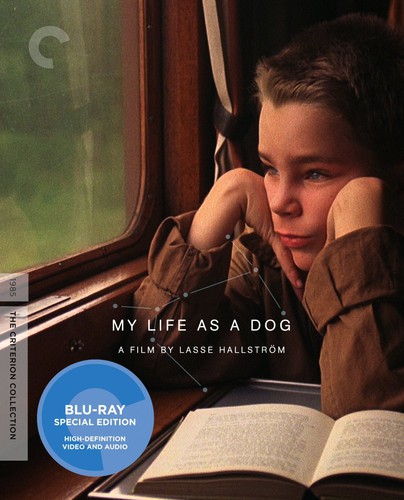 Criterion Collection - My Life as a Dog (Criterion Collection)