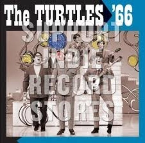 Turtles 66