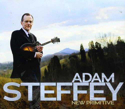 Adam Steffey - New Primitive