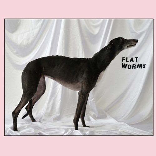 Flat Worms - Flat Worms