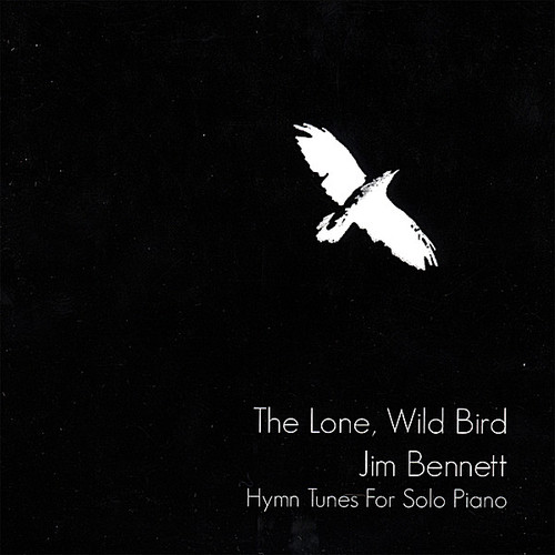 Jim Bennett - Lone Wild Bird