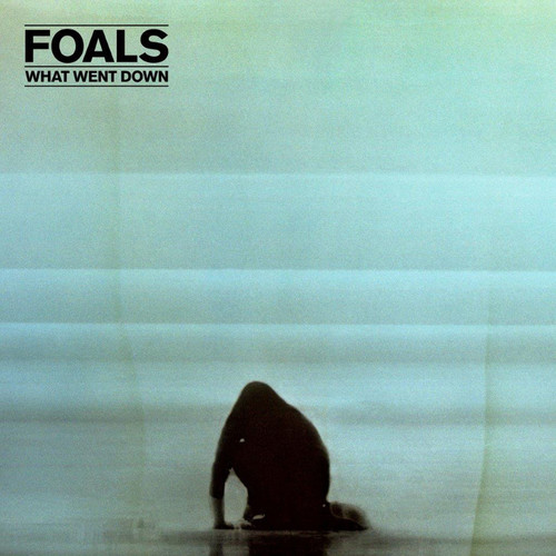 Foals - What Went Down [Deluxe w/DVD]
