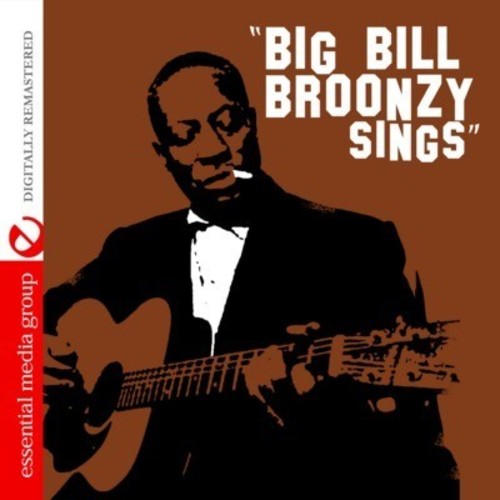 Big Bill Broonzy - Sings