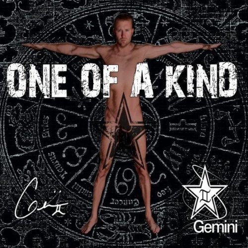 The Gemini - One of a Kind