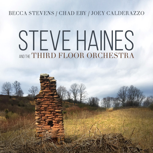 Steve Haines & Third Floor Orchestra - Steve Haines And The Third Floor Orchestra