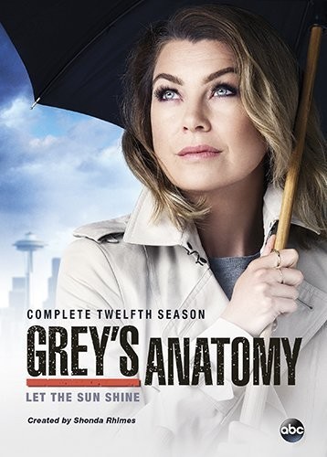Grey's Anatomy: Complete Twelfth Season