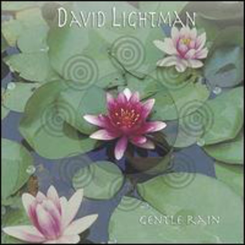 David Lightman - Gentle Rain