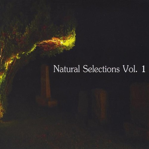 Natural Selections - Natural Selections 1 / Various