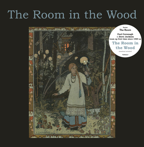 The Room In The Wood