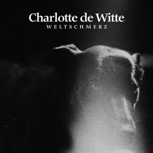 De Charlotte Witte - Weltschmerz