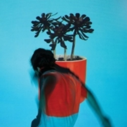 Local Natives - Sunlit Youth [LP]