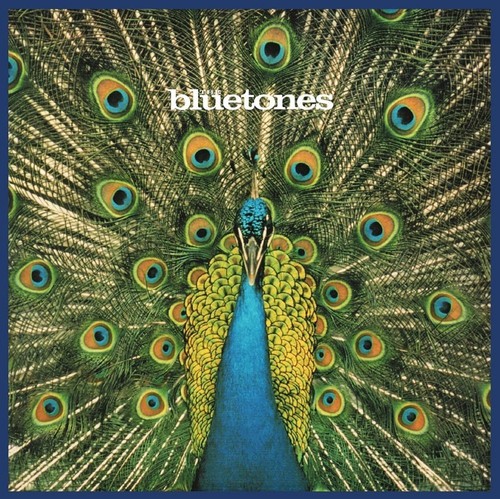 Bluetones - Expecting to Fly: 20th Anniversary Vinyl Edition