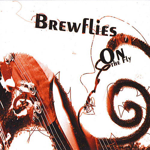 Brewflies - On the Fly