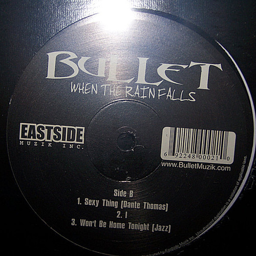 Bullet - When the Reign Falls
