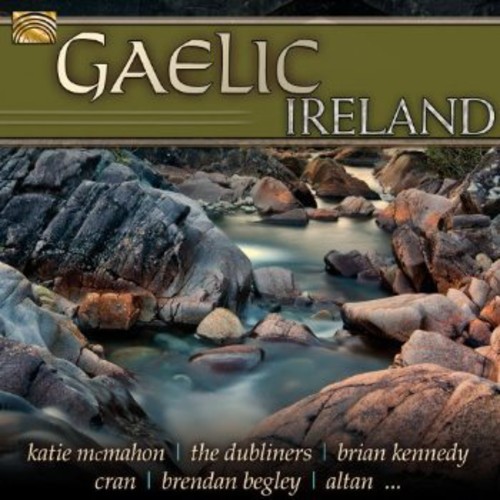 Gaelic Ireland