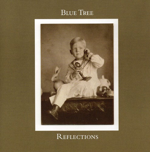 Blue Tree - Reflections