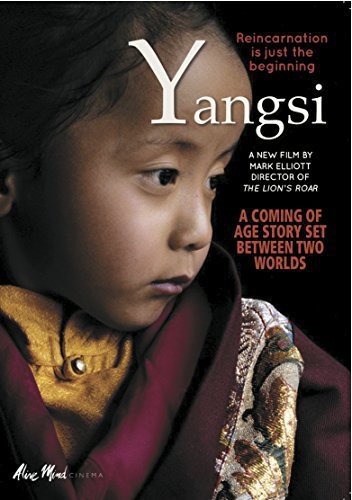 Rabjam Rinpoche - Yangsi Reincarnation Is Just the Beginning