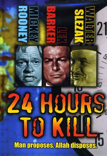24 hours to kill movie