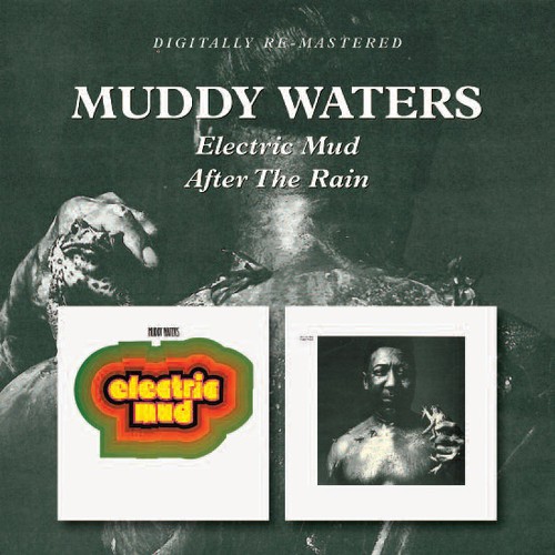 Electric Mud /  After the Rain [Import]