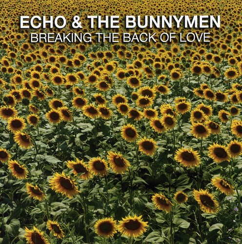 Echo & The Bunnymen - Breaking The Back Of Love