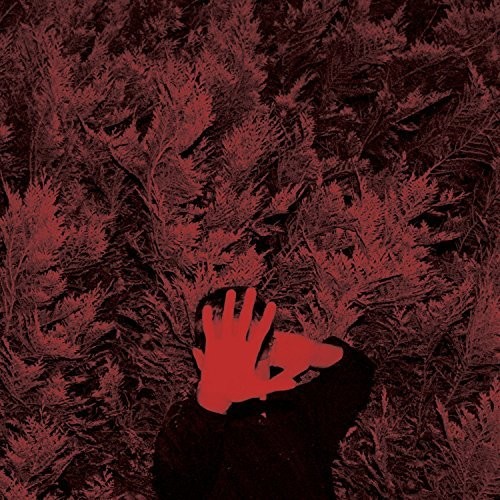 Cory Hanson - The Unborn Capitalist From Limbo [Vinyl]