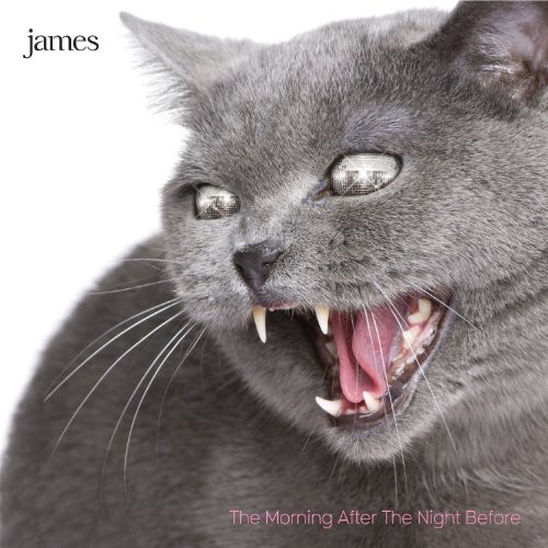 James - The Morning After The Night Before
