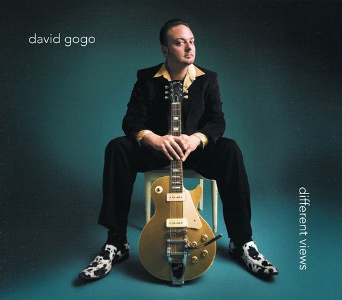 David Gogo - Different Views