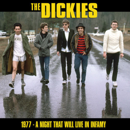 Dickies - A Night That Will Live In Infamy 1977