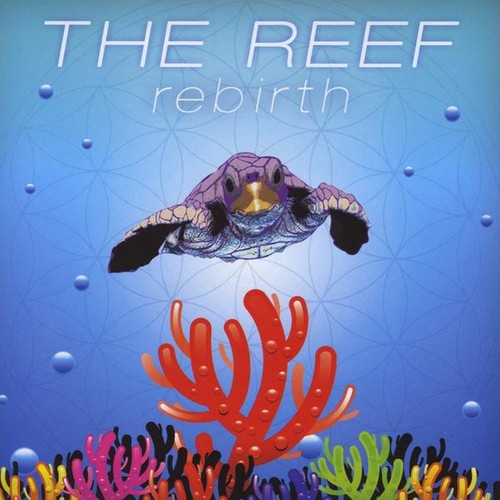 Reef - Rebirth