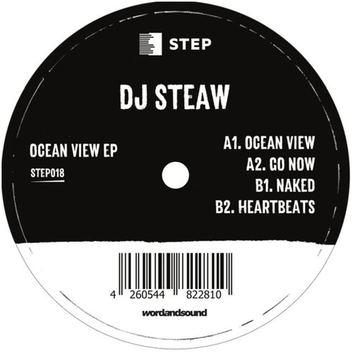 DJ Steaw - Ocean View