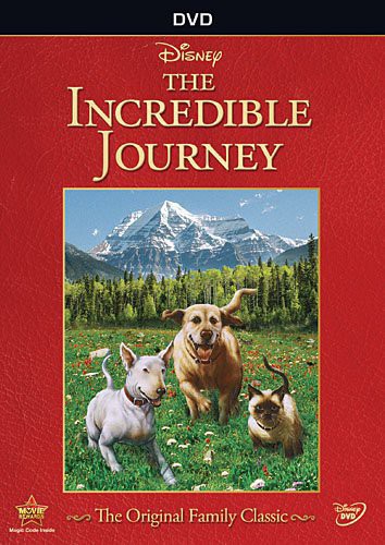 The Incredible Journey